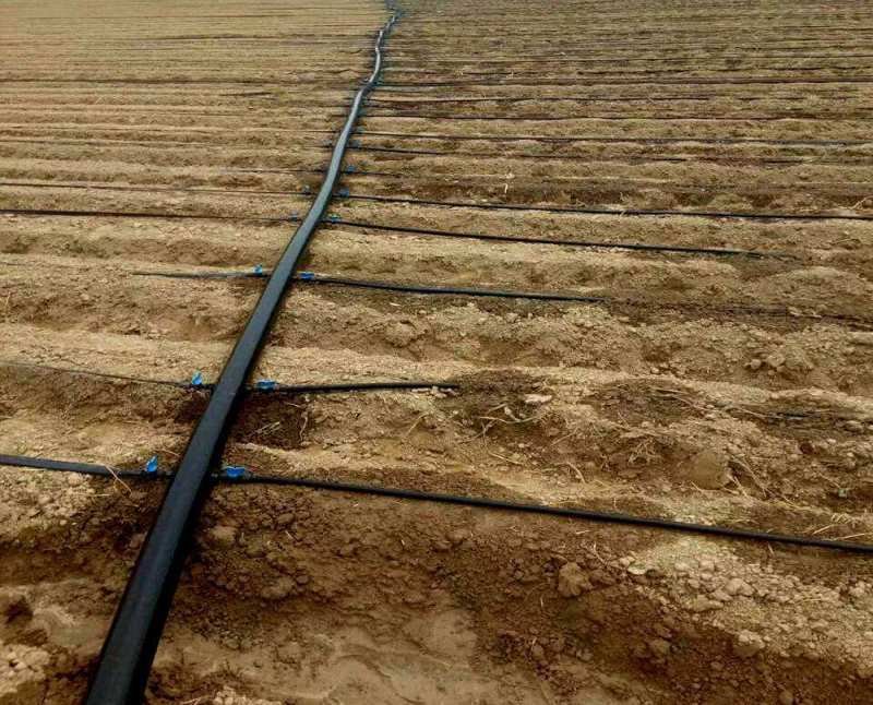 DripIrrigation Bypass Valves Drip irrigation valves