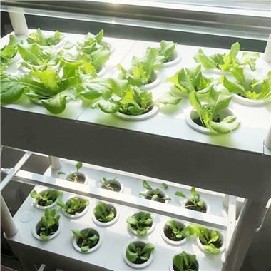 4-Zestaw hydroponiczny do ogrodu z oświetleniem LED