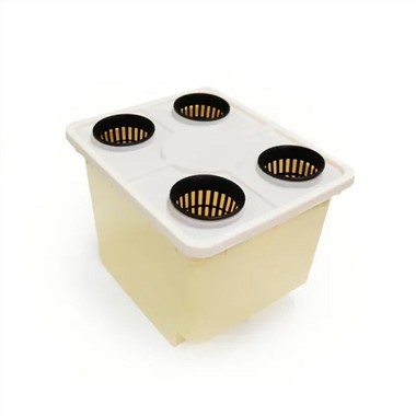 Holenderski system hydroponiczny kubełkowy