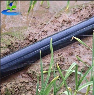 Wąż zraszaczy z otworami